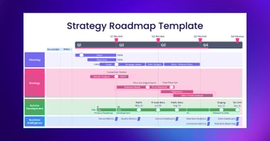 thumbnail-LP-strategy-roadmap-assessment
