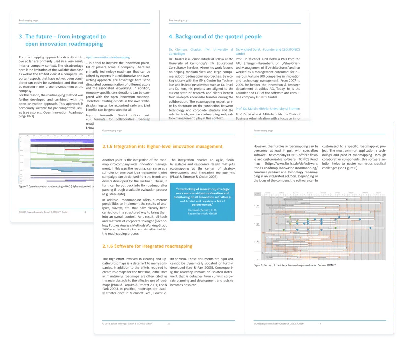 Überblick - Roadmapping White Paper PDF ITONICS