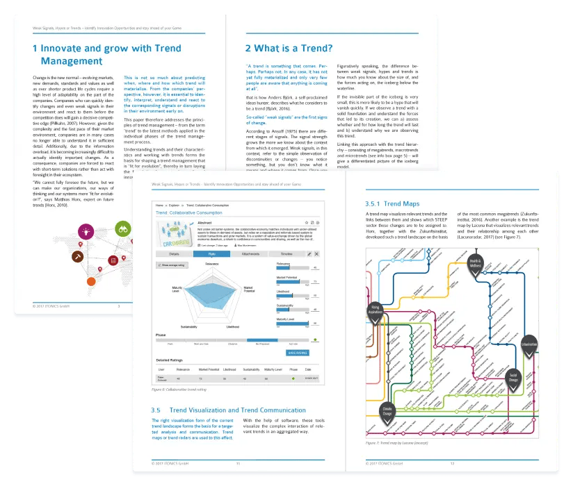 Weak Signals, Hypes or Trends -  Free Download