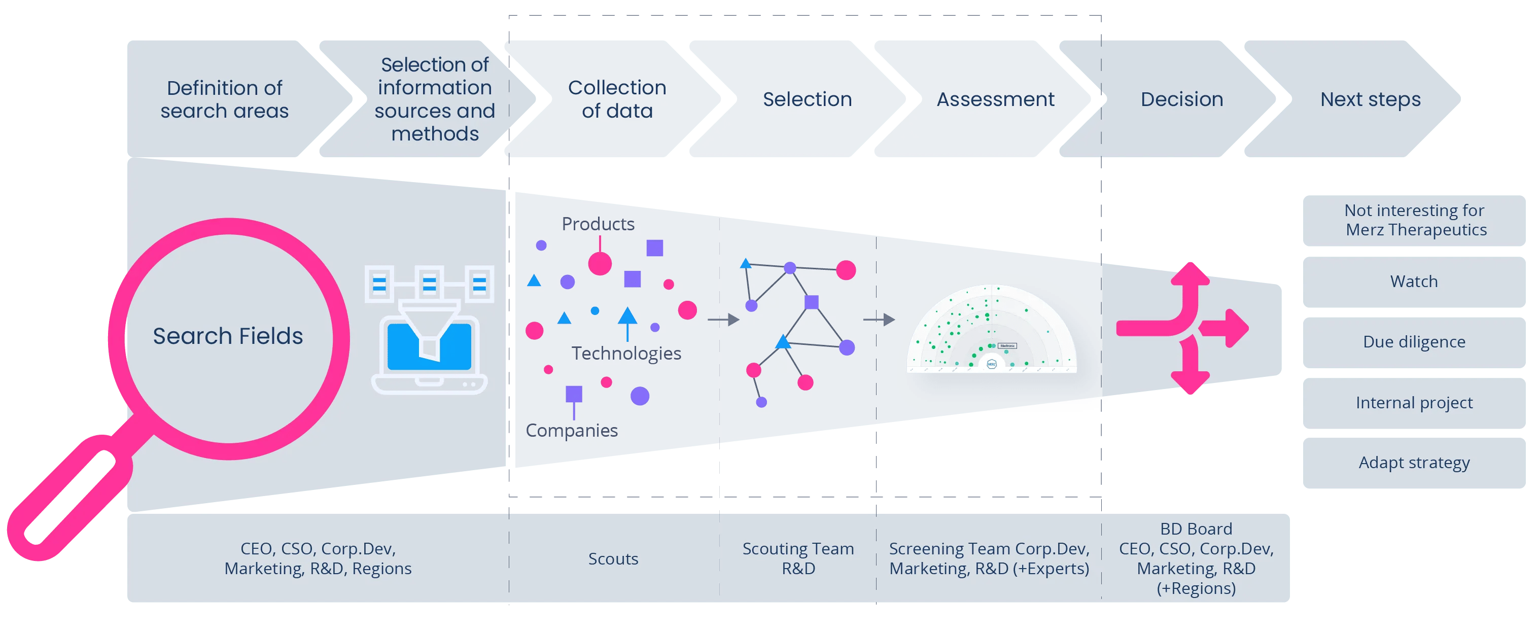 Merz Therapeutics Competitive Intelligence Process